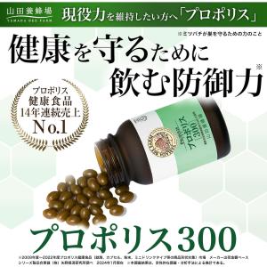 山田養蜂場 プロポリス300 詰替用(500球...の詳細画像1