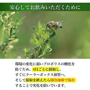 山田養蜂場 プロポリス300 詰替用(500球...の詳細画像4