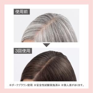 山田養蜂場 RJヘアカラートリートメント ライ...の詳細画像1