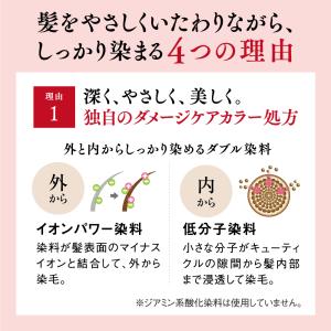 山田養蜂場 RJヘアカラートリートメント ライ...の詳細画像3