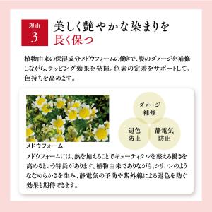 山田養蜂場 RJヘアカラートリートメント ライ...の詳細画像5