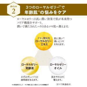 山田養蜂場 薬用RJ UVプラス SPF50+...の詳細画像4