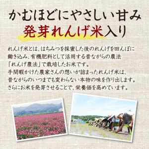 山田養蜂場 十八穀米 <20g×31包>2セッ...の詳細画像4