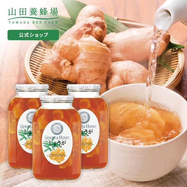 山田養蜂場 しょうがはちみつ漬 ＜900g×3本＞ 母の日