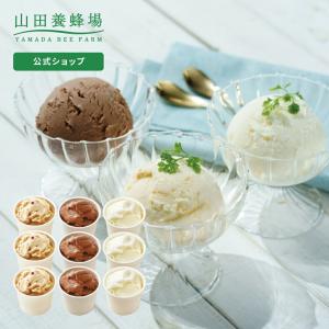 山田養蜂場 はちみつジェラート 人気の3種セット<115ml×9個> ハニークランチ はちみつミルク チョコレート はちみつ ギフト お中元