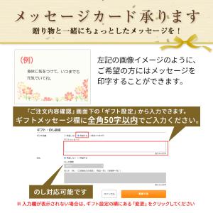 山田養蜂場 はちみつジェラート 人気の3種セッ...の詳細画像4