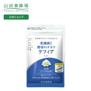 山田養蜂場 乳酸菌と酵母のチカラ ケフィア 64球/袋入 ギフト プレゼント サプリメント 健康補助食品 健康 人気 健康 健康食品 サプリ 父の日｜yamada3838