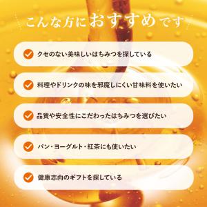 山田養蜂場 アカシア蜂蜜(ルーマニア産) 10...の詳細画像3