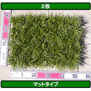 通常販売開始】 玉竜(タマリュウ) マットタイプ 2枚セット 自家栽培