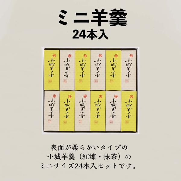 羊羹 ようかん 小城羊羹  ミニ羊羹　24本入　抹茶　紅練（こしあん） セット