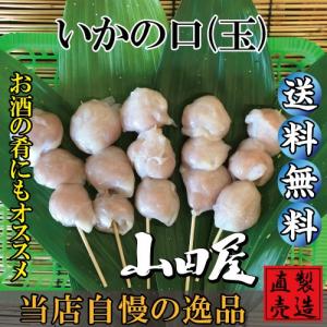 いかの口（玉のみ5串）×2パック　国産　いか　自家製　製造直売　無添加　伊豆　山田屋海産