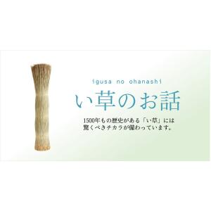 い草 花ござ/ラグマット 〔市松柄 グリーン ...の詳細画像5
