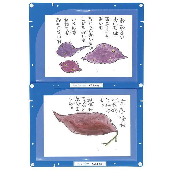 （まとめ）縦横連結掲示ホルダー A4〔×50セット〕