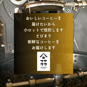 自家焙煎 水出しコーヒー アイスコーヒー コー...の詳細画像2