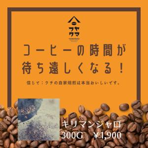 送料無料 タンザニア  キリマンジャロ 深煎り 300g 自家焙煎珈琲