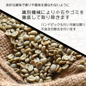 お好きな豆を2種類選べる! 自家焙煎 コーヒー...の詳細画像4