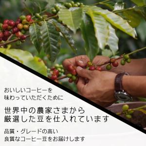 お好きな豆を2種類選べる! 自家焙煎 コーヒー...の詳細画像5