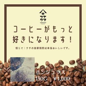 ホンジュラス 中浅煎り 150g 自家焙煎珈琲 挽き豆 粉｜yamafuku-coffee