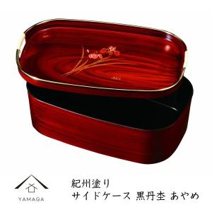 煎茶道具 急須 宝瓶 赤絵 高野昭阿弥作 : 茶道具いまや静香園