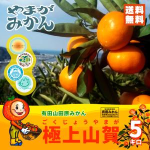 有田みかん 極上山賀 5kg 化学肥料不使用 減農薬 和歌山有田山田原みかん やまがみかん園 送料無料