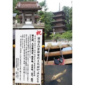 歯固め石 お食い初め飾りセットA 百日祝い 1...の詳細画像5