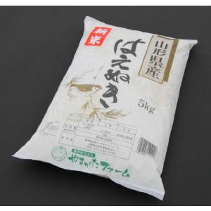 ☆2024年山形県産 【はえぬき】 玄米30kg (一等米) 石抜き済み : やま