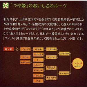 ★【つや姫 白米5キロ】2025年山形県産(特...の詳細画像3
