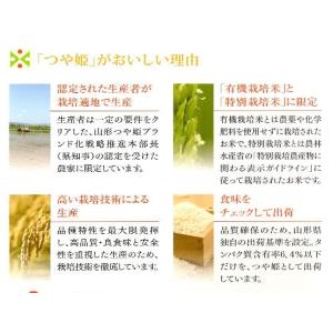 ★【つや姫 白米5キロ】2025年山形県産(特...の詳細画像4