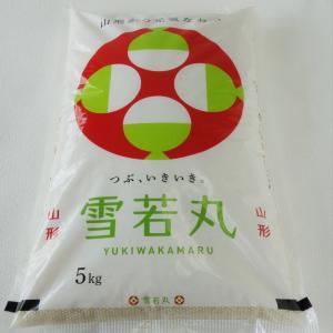 ☆山形米3品種セット 2025年山形県産【つや姫・雪若丸・はえぬき】各