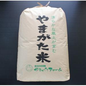 山形ざんまいやまがた三米 つや姫・雪若丸 はえぬき各5kg 精白米 2025年産 ☆山形米3品種セット 2025年山形県産【つや姫・雪若丸・はえぬき】各
