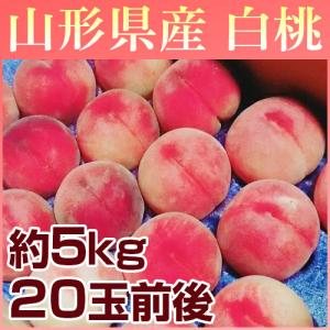 ★山形の桃はうまいずね〜★ 山形県産 白桃 20玉入り