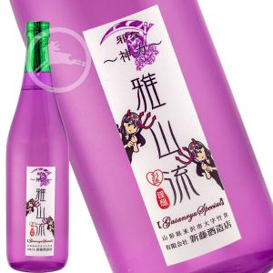 日本酒 飲み比べセット 雅山流 裏・雅山流720ml x 4本 送料無料 新藤