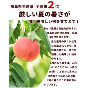 もも 福島 桃 あかつき桃 2kg(6〜9玉)...の詳細画像2