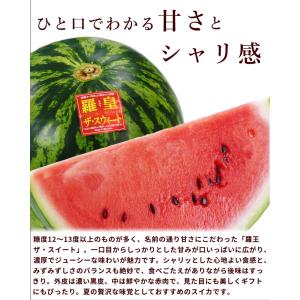 【SALE/10%引き】スイカ 羅王 ザ・スィ...の詳細画像1