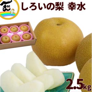 【SALE/10％引き】千葉県産 しろいの梨 幸水 梨 秀品 2.5kg 6〜9玉 高糖度 甘い みずみずしい 産地直送 お取り寄せ ギフト お中元