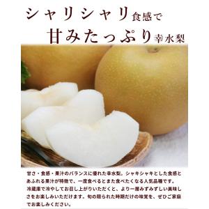 【SALE/10%引き】千葉県産 しろいの梨 ...の詳細画像1