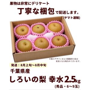 【SALE/10%引き】千葉県産 しろいの梨 ...の詳細画像3