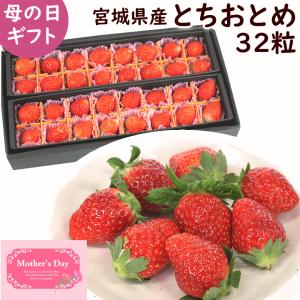 いちご 苺 イチゴ とちあいか ぎっしり詰め1.2kg x 1箱 ／Tちゃん