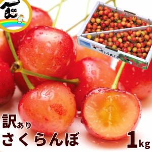 セール さくらんぼ 訳あり 優品以上 山形県産 訳ありさくらんぼ 1kg Mサイズ以上 バラ詰 佐藤錦 紅秀峰 6月上旬頃から発送 送料込