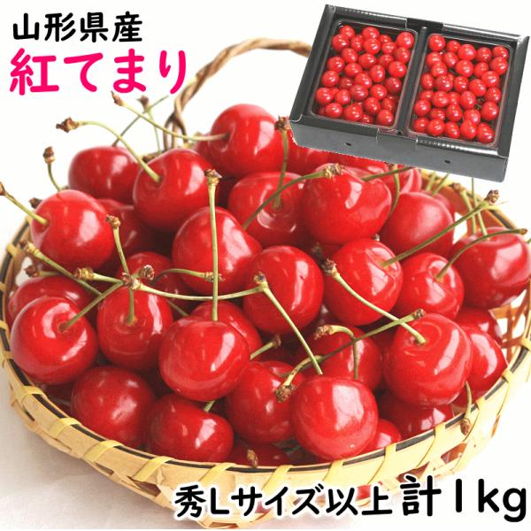 さくらんぼ 紅てまり ギフト 山形県産 500g×2パック 計1kg 秀Lサイズ以上 バラ詰 べにて...