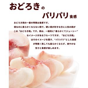 【SALE/10%引き】桃 山形県産 おどろき...の詳細画像2