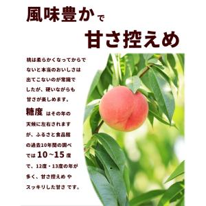 【SALE/10%引き】桃 山形県産 おどろき...の詳細画像3