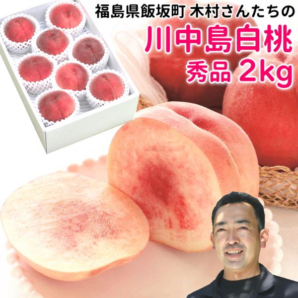 もも 桃 川中島白桃 福島県飯坂町 木村さんたちの川中島白桃 秀品 2kg 6〜9個 予約 8月中旬...