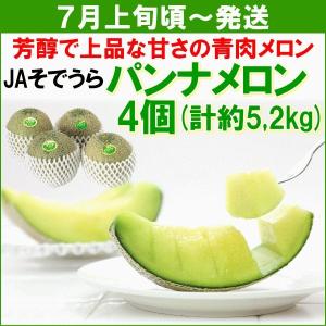 メロン 7月上旬頃から発送・JAそでうら パンナメロン 青肉...