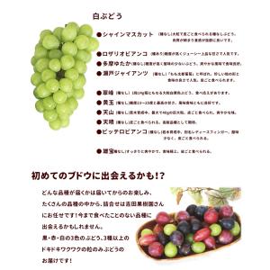 ぶどう 山形県産 カラフルパレット 1kg 3...の詳細画像3