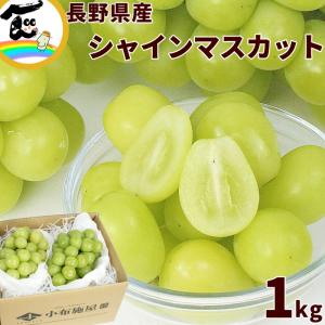 マイハート 希少品種 高級ぶどう 約1.2〜1.5kg 2房 山梨県産 非常に