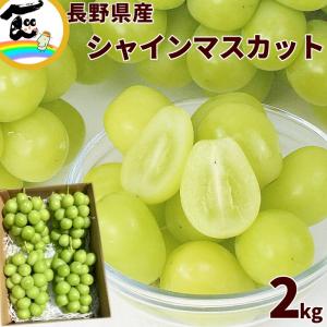 ぶどう 長野県産 小布施屋 シャインマスカット ...の商品画像