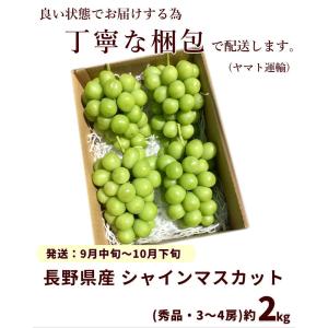 ぶどう 長野県産 小布施屋 シャインマスカット...の詳細画像3