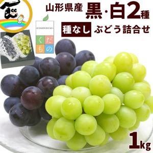 ぶどう 黒ぶどう 白ぶどう 2種セット 詰め合わせ 山形県産 秀品 1kg（500g×2房）マスカット 種なし 大粒 産地直送 ギフト 贈答 お取り寄せ 送料無料 くだもの畠
