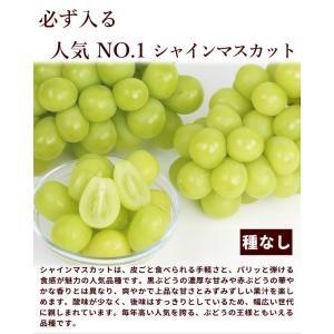 ぶどう 黒ぶどう 白ぶどう 2種セット 詰め合...の詳細画像2